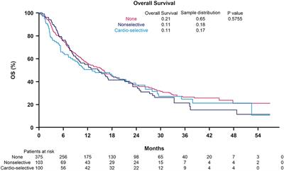 Outcomes of beta blocker use in advanced hepatocellular carcinoma treated with immune checkpoint inhibitors